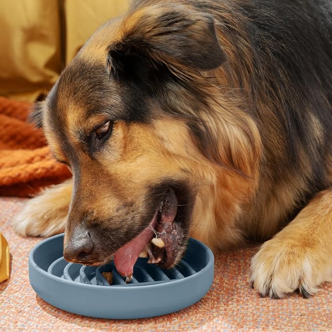 Should We Go? Slow Feeder Dog Bowls - Medium Size Silicone Slow Eating Dog Bowl for Puppies & Dogs with Suction Cup -Dishwasher-Safe, Lick Mat Design, Reduces Gulping,for All Breeds,7.5”x1.5”- Ocean