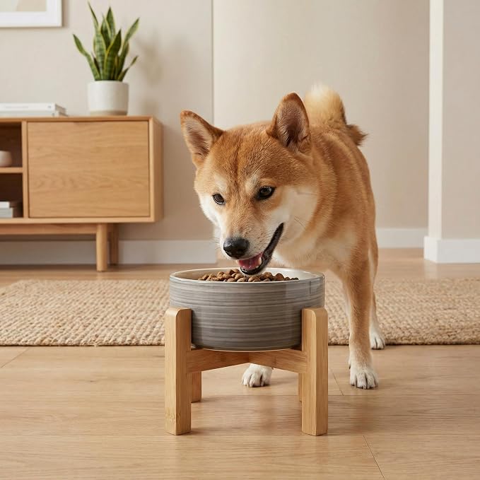 hjn Elevated Ceramic Dog Bowl with Bamboo Stand, Raised Pet Feeding Station for Small Medium Dogs Cats, Modern Design with Anti-Slip Base (White Gray, 3.6Cup)