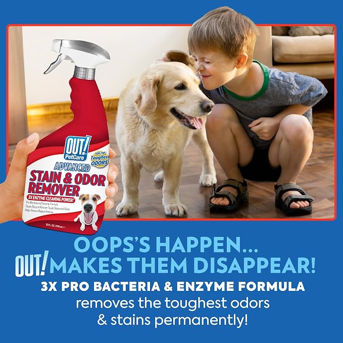 OUT! PetCare Pet Odor & Stain Remover Spray, Carpet & Floor Cleaner, Deodorizer for Dogs & Cats, Made in USA, 32 fl oz (6 Pack)