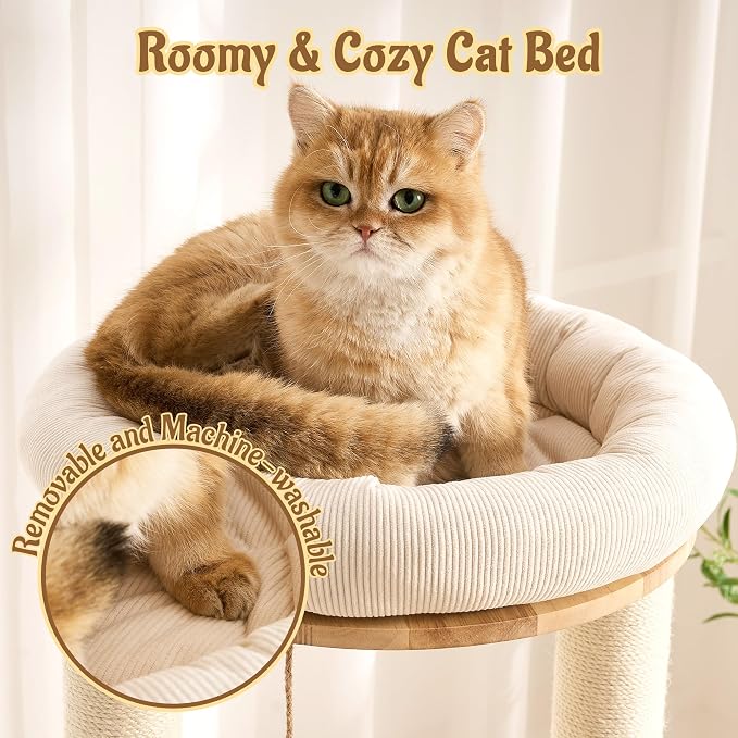 Modern Solid Wood Cat Tree for Indoor Cats Up to 15lbs, 49" Tall Cat Tower with Scratching Posts & Scratcher, Large Cat Bed, Hammock, Capsule Nest, Dangling Ball, Multi-Level Cat Furniture