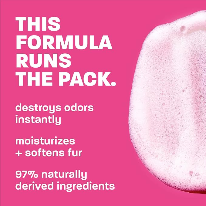 TropiClean Deodorizing Dog Shampoo, Raspberry Lime Scent, 20oz | Powerful Odor Control | Long-Lasting Raspberry Lime Scent | Puppy & Cat Safe | Made in USA