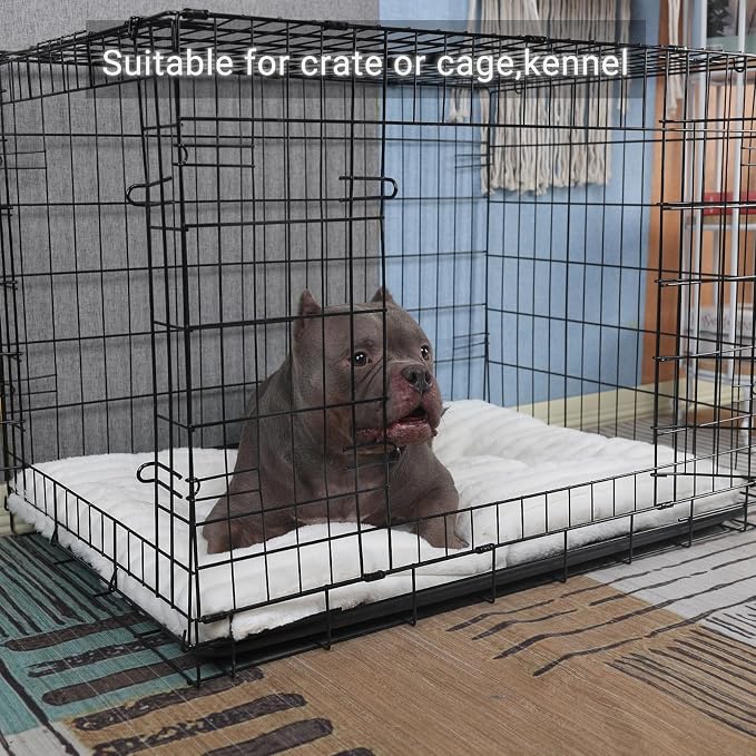 36 Inch Dog Crate Bed for Medium to Large Size Dogs,Ultra Soft Dog Pad for Crate or Cage Washable & Anti-Slip Kennel Pad for Pets Cozy Sleeping Mat,Fluffy Comfy Pet Mattress Cushion(35" x 23", Cream)