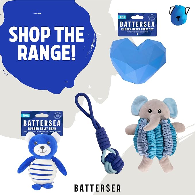 Rosewood Battersea Rope Bone Dental Chew Dog Toy, 6cm x 15cm,Blue
