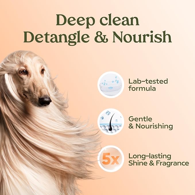 PAWFUME Deshedding Dog Shampoo and Conditioner, Show Dog, 4-Pack | Probiotic pH-balanced formula nourishes, detangles and deep cleans silky coats, salon-quality Shampoo for Dogs