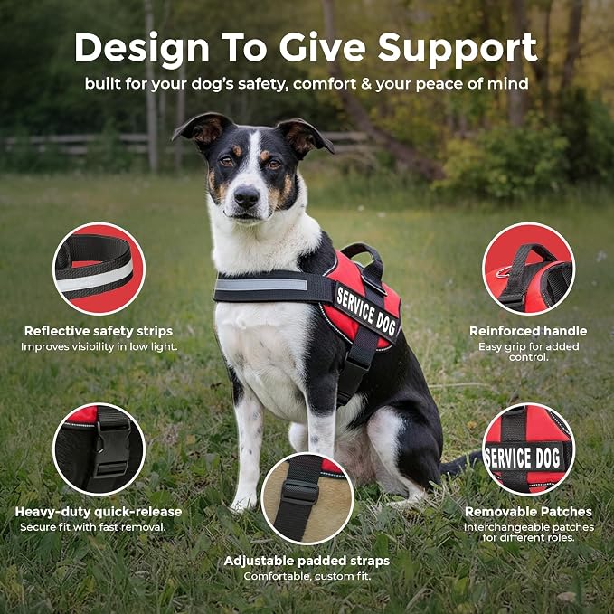 Industrial Puppy Service Dog Vest Harness - Durable & Adjustable Vest for Dog with Reflective Straps, Removable Patches, 50 ADA Cards, Handle & D-Ring, Travel and Daily Use, Bright Red, Medium 25"-32"