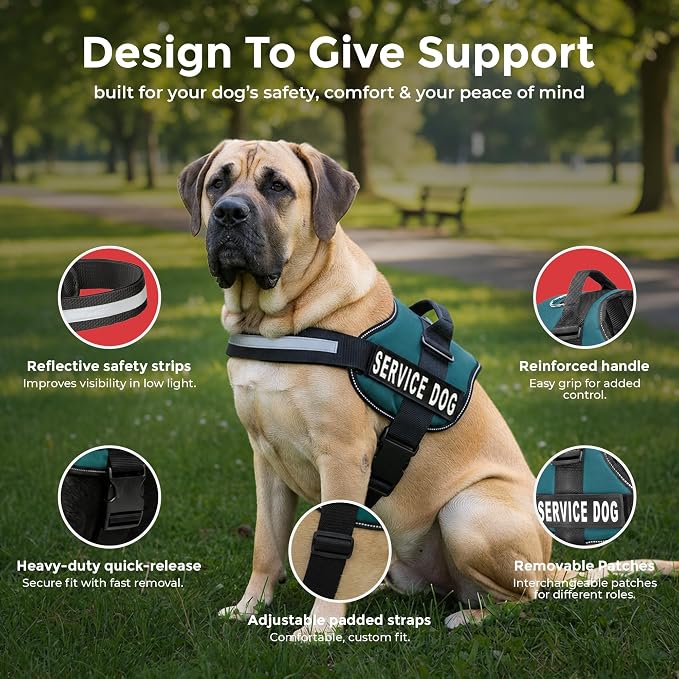 Industrial Puppy Service Dog Vest Harness - Durable & Adjustable Vest for Dog with Reflective Straps, Removable Patches, 50 ADA Cards, Handle & D-Ring, Travel and Daily Use, (Teal, XL 30"-39")