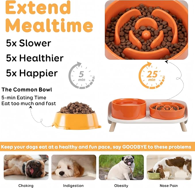 Elevated Slow Feeder Dog Bowls - Ceramic Food and Water Bowl Set with Stand - Raised Pet Dishes for Small and Medium Sized Dogs
