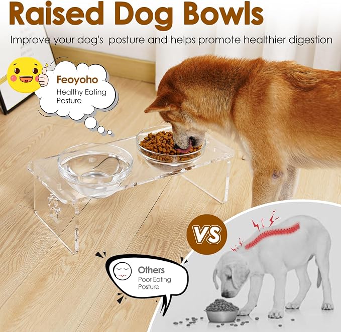 Elevated Dog Bowls for Medium Dogs – 5.5” Acrylic Raised Pet Feeder Stand with 2 Stainless Steel & 2 Glass Removable Bowls – Food & Water Dish Set