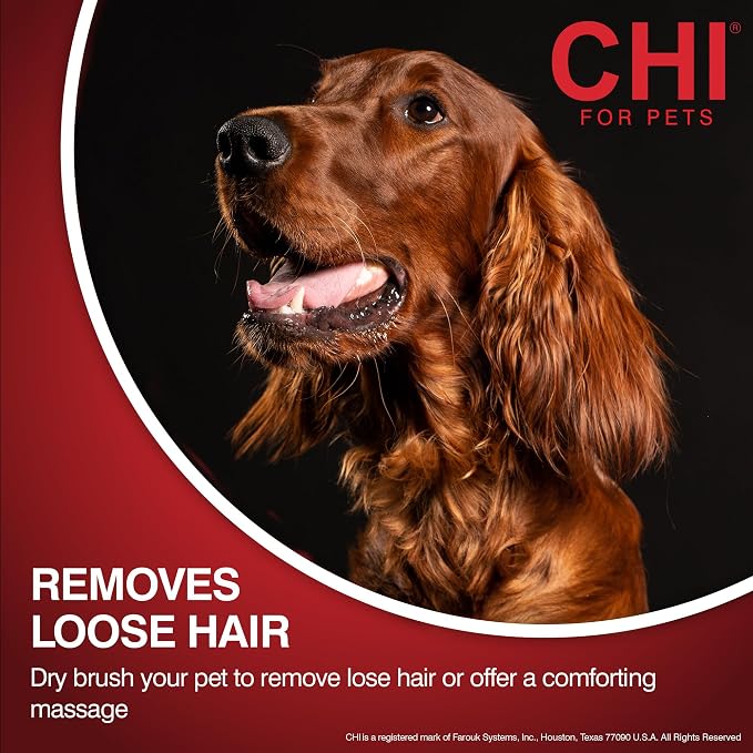 CHI for Dogs Detangling Grooming Glove, Dual-Sided Mitt | For wet or dry use, coated pin tips, removes hair and massages coat, adjustable one-size strap daily