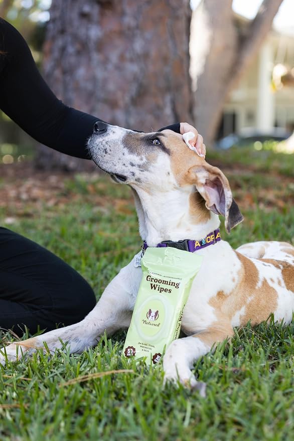 Natural Dog Company XL Dog Wipes for Paws and Butt - Hypoallergenic, Biodegradable, Fragrance Free - Large 7×8 inch Grooming Wipes for Dogs Face and Body - Sensitive Skin Pet Wipes - 50 Count