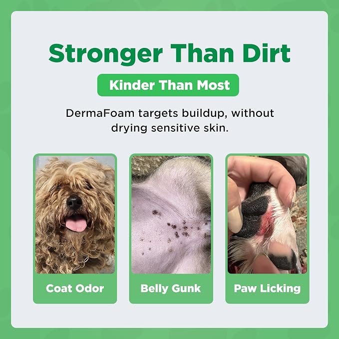 Pawfect DermaFoam Pet Shampoo Deep Cleansing for Greasy Coats & Deodorizing | A Canadian Company, Sulfate Free Moisturizing Formula with Aloe Vera & Bamboo Vinegar | Fresh Cucumber Scent 16.9 Oz