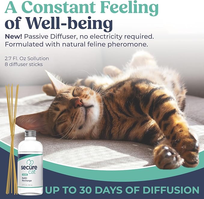 SIGNS SecureCat Pheromone Home Stick Diffuser Refill, Provides 30 More Days of Natural Support for an Environment of Calm and Well-Being, Helping Relieve Any Feeling of Anxiety and Stress