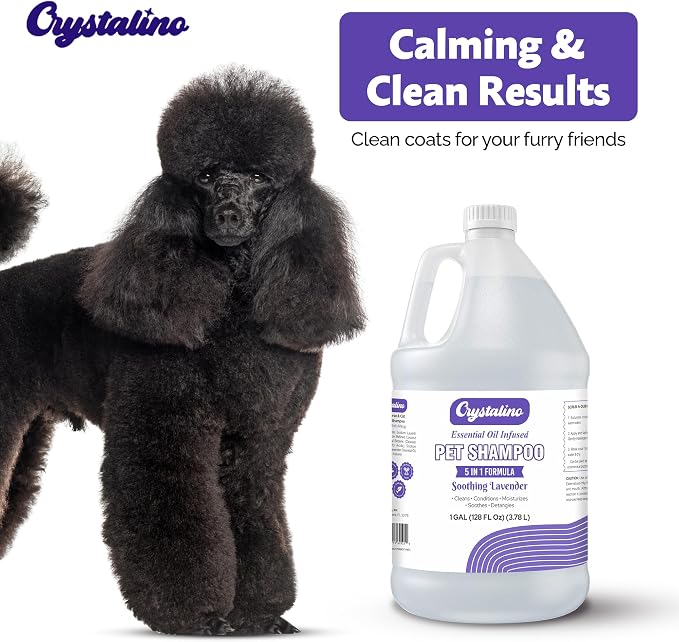 Dog Shampoo Conditioner - Lavender - (1 Gallon) Pet Shampoos for Dogs, Oatmeal Dog & Puppy Shampoo Sensitive Skin and Itchy Skin Relief, Bath Supplies for Dogs Wash, Moisturizing for Pets