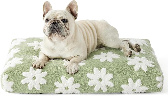 LE SURE Dog Beds Medium Size-Thick Shredded Chopped Foam Pet Bed as Gift for Indoor with Removable Cover, Cute Modern Fuzzy Plush & Anti Slip Bottom, Green