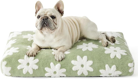LE SURE Dog Beds Medium Size-Thick Shredded Chopped Foam Pet Bed as Gift for Indoor with Removable Cover, Cute Modern Fuzzy Plush & Anti Slip Bottom, Green