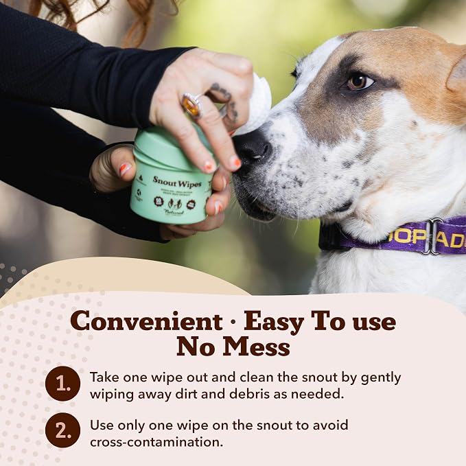 Natural Dog Company Snout Wipes for Dogs – Cleansing & Moisturizing Care for Dry, Cracked Snouts, Soothing Grooming Formula with Kukui Oil, 50 Count