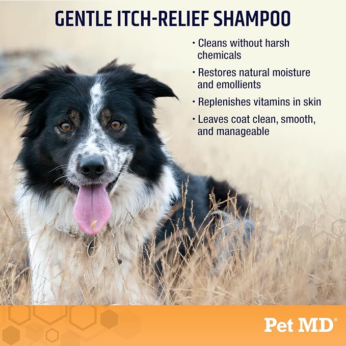 Pet MD Oatmeal & Aloe Shampoo for Dogs & Cats - Itchy Skin Support - 1gal | Soap-Free & Alcohol-Free Formula – Cleans Skin & Coat While Helping Maintain Natural Moisture