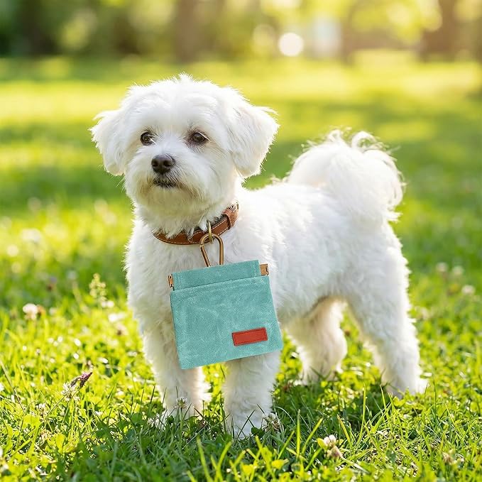 Dog Treat Pouch Blue Green Pocket Sized Pet Training Pouch Training Pouch with Carabiner Buckle Auto Closing Dog Walking Bag Pet Feed Snack Reward for Pet Puppy Travel Outdoor Use