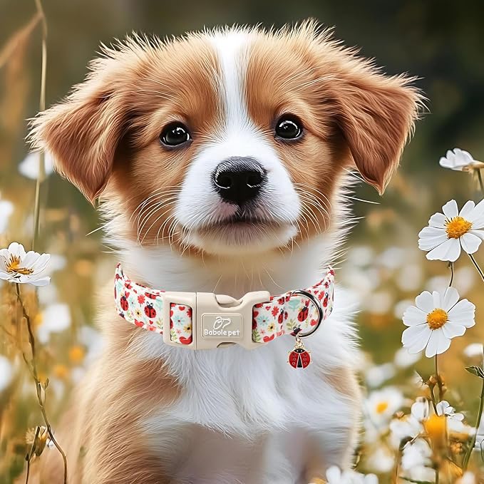 Ladybug Dog Collar for Small Dogs - Cute Spring/Summer Dog Collar, Lightweight Adjustable Cartoon Love Bug Garden Mom Dogs Collars with Quick Release Buckle S