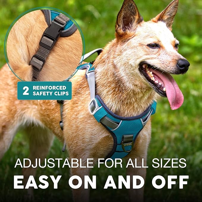 Embark Adventure XL Dog Harness – No-Pull, Reflective Trim, Military-Grade Nylon, Dual Leash Clips, Gel-Lined Handle for Extra Large Dogs