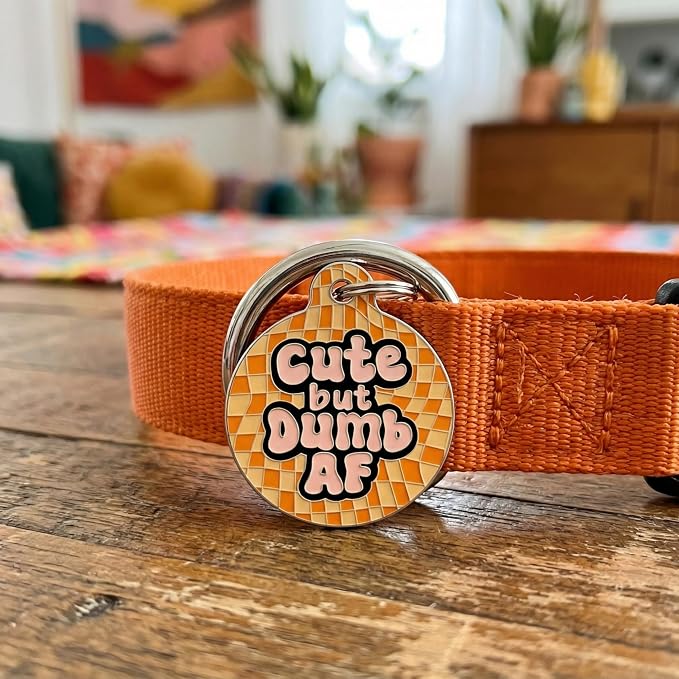 Bad Tags Personalized Dog and Cat ID Tags in 25+ Designs and 2 Sizes - 5 Lines of Custom Engraved Text - Funny Cute Personalized Pet Tags (Cute But Dumb AF, Large (1.25 inch))