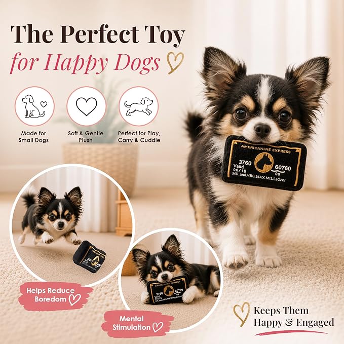 Dog Diggin Designs Americanine Express Bark Plush Dog Toy | Luxury-Inspired Parody Credit Card Dog Toy with Squeaker, Soft Plush Novelty Dog Toy – Don’t Leave Home Without It