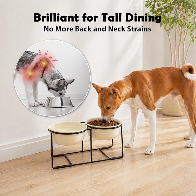 Ceramic Elevated Dog Bowl Set - Raised Double Feeding Bowls with Metal Stand - Pet Dishes for Medium and Large Dogs - 5.8 Cups - 47.3 fl oz - Beige
