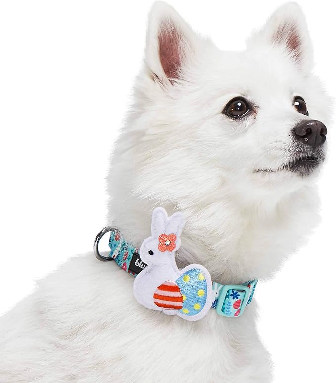 Blueberry Pet Easter Bunny & Egg Adjustable Dog Collar, Minty Green, Small, 12"-16" Neck, Dog Collars for Small Dogs, Puppy Collar, Easter Dog Collar Girl, Pink Easter Dog Bow Tie