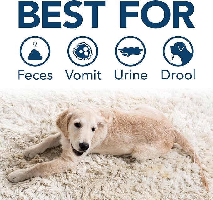 Simple Solution Extreme Stain & Odor Remover, Enzyme Stain Cleaner, Gallon | Dog Stain & Odor Remover, Pet Urine Enzyme Cleaner, Dog Urine Carpet Cleaner, Carpet Spray Cleaner, Pet Odor Eliminator