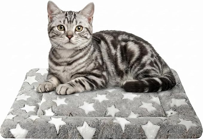 Cat & Dog Bed Mat - Reversible Dog Crate Bed Mats, Soft & Breathable Kennel Pad, Durable Crate Bed for Extra Small Dogs & Cats