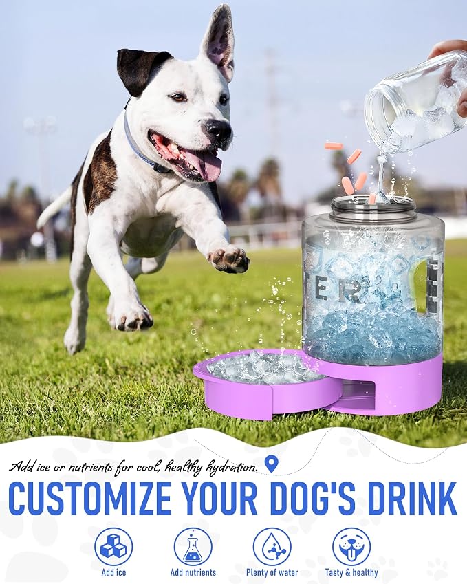 lesotc 77oz Dog Travel Water Bottle, Large Portable Dog Water Bowl Dispenser, Leakproof Pet Drinking Bottle Dispenser for Hiking Camping Walking Travelling Beach Car Trips, No Spill, BPA Free,Purple