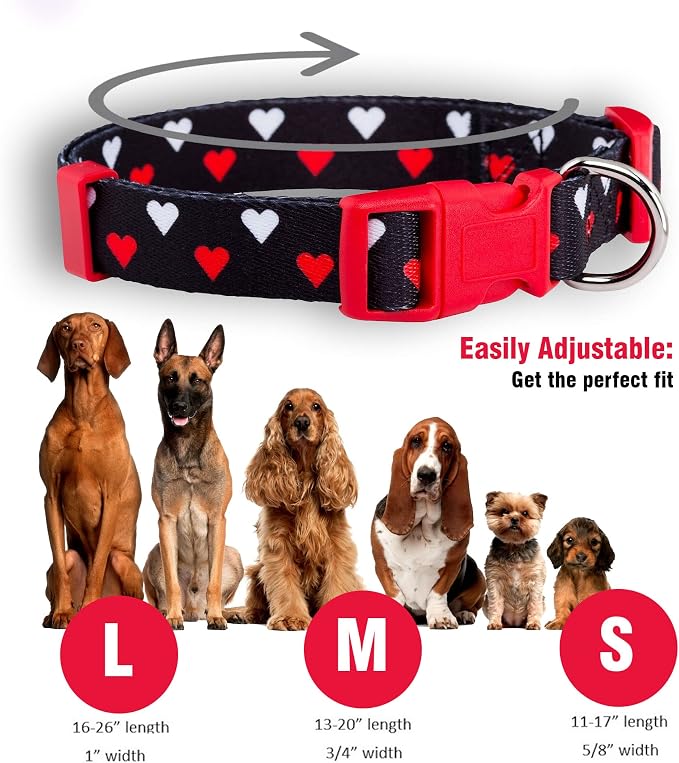 Native Pup Valentine’s Dog Collar- Valentines Day Pet Collars- Valentine Girly Hearts- Pink Red Heart- Cute Boy Girl Puppy Gift- Adjustable for Small, Medium, Large Breeds (White & Red Hearts, Small)