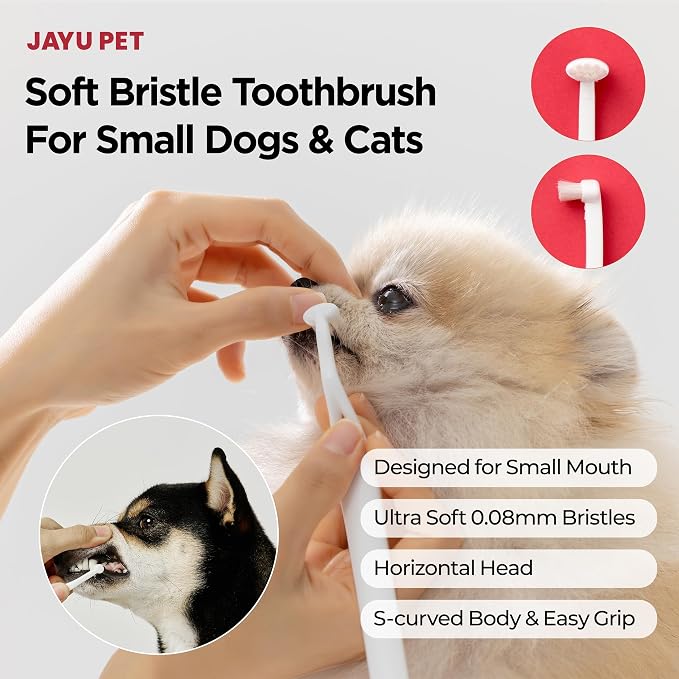 JAYU PET Dental Care Brush with Soft Bristles 1ea | Dog Toothbrush, Cat Toothbrush, For Kitten and Small Dogs, Removes Old Plaque and Tartar, Easy Cleaning