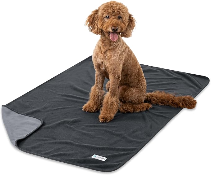 PetAmi Waterproof Dog Blanket for Couch, Pee Proof Reversible Cat Blanket for Sofa Bed Furniture Protector, Soft Fleece Washable Pet Throw for Dogs Cats Puppies Kittens, 60x80 Gray