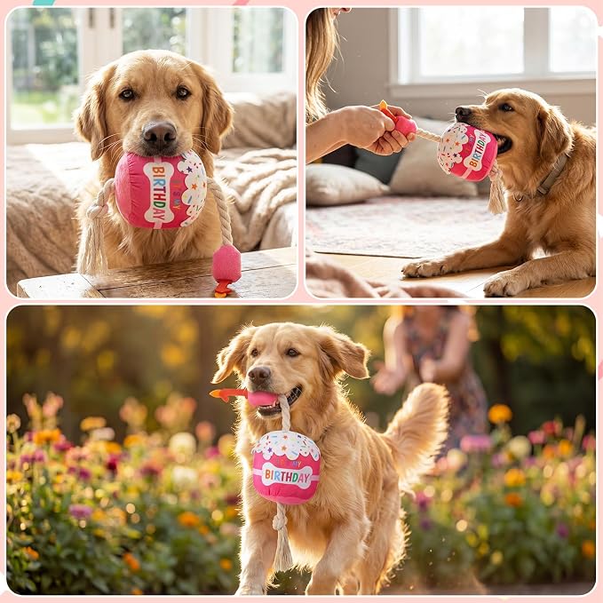 Dansydaisy Dog Birthday Cake Toy Squeaky Plush Toy for Girl Boy Gifts, Chew Accessories for Dog Birthday Party Decor Favor for Large, Medium and Small Dogs(1st,Rose Pink)