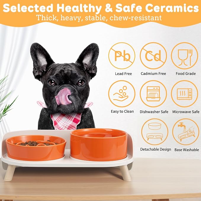 Elevated Slow Feeder Dog Bowls - Ceramic Food and Water Bowl Set with Stand - Raised Pet Dishes for Small and Medium Sized Dogs