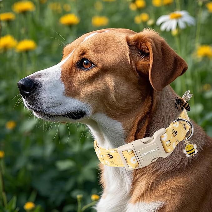 DOGWONG Yellow Bee Dog Collar- Cute Fun Dog Collars Adjustable Designer Spring Puppy Yellowe Dog Collar for Small Medium Large Dogs S