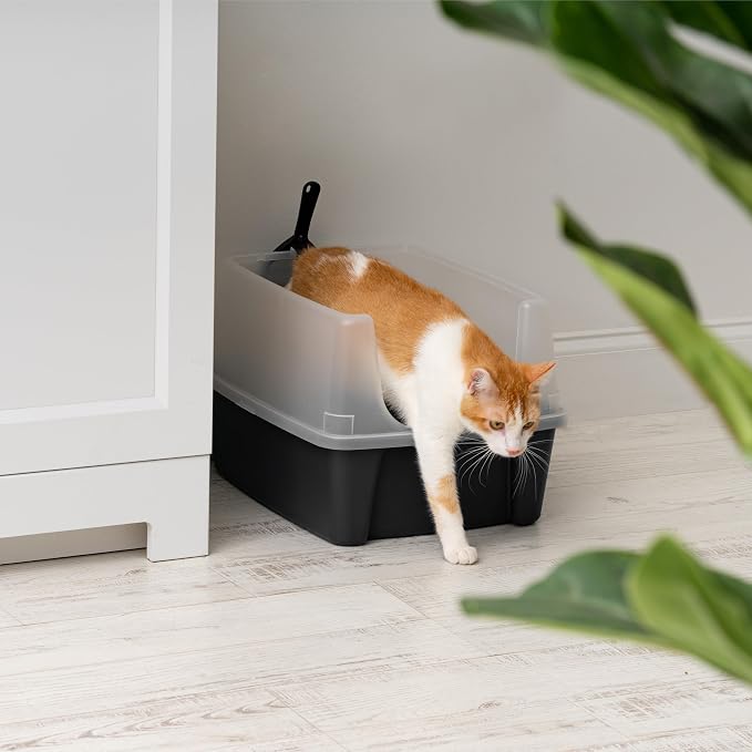 IRIS USA Large Open Top Cat Litter Box with High Sides, Scatter Shield & Scoop, Black - Easy Clean Plastic Litter Pan for Indoor Cats, Kittens or Multicat Homes