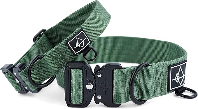 Made to ROAM Premium Dog Collar - Adjustable Heavy Duty Nylon Collar with Quick-Release Metal Buckle (Oregon Haze, Classic Size 1)