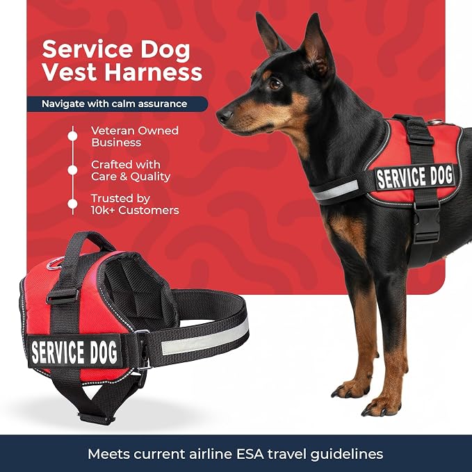Industrial Puppy Service Dog Vest Harness - Durable & Adjustable Vest for Dog with Reflective Straps, Removable Patches, 50 ADA Cards, Handle & D-Ring, Travel and Daily Use,Bright Red, XXXS 11.5"-13"