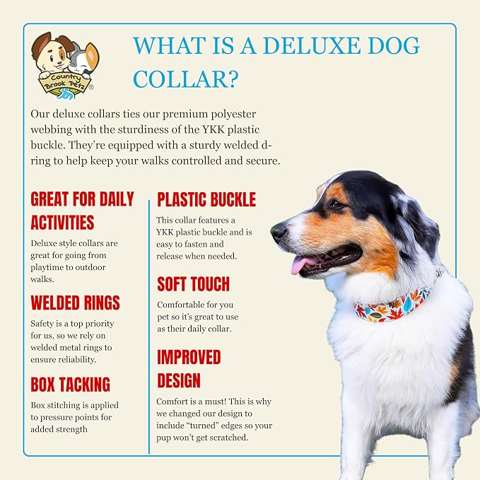 Country Brook Petz - Happy Harvest Everyday Dog Collar - Made in the U.S.A. - Awesome Autumn Collection Featuring Designs You Will Fall for (1 Inch, Medium)