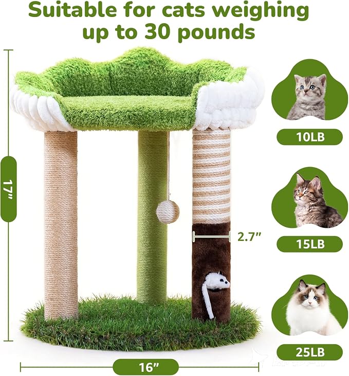 WOOCHPET 20" Small Cat Tree for Kittens, Cute Green Mini Kitty Tower with Removable Washable Perch Bed, 3 Sisal Scratching Posts, Toy Mouse for Small Indoor Cats