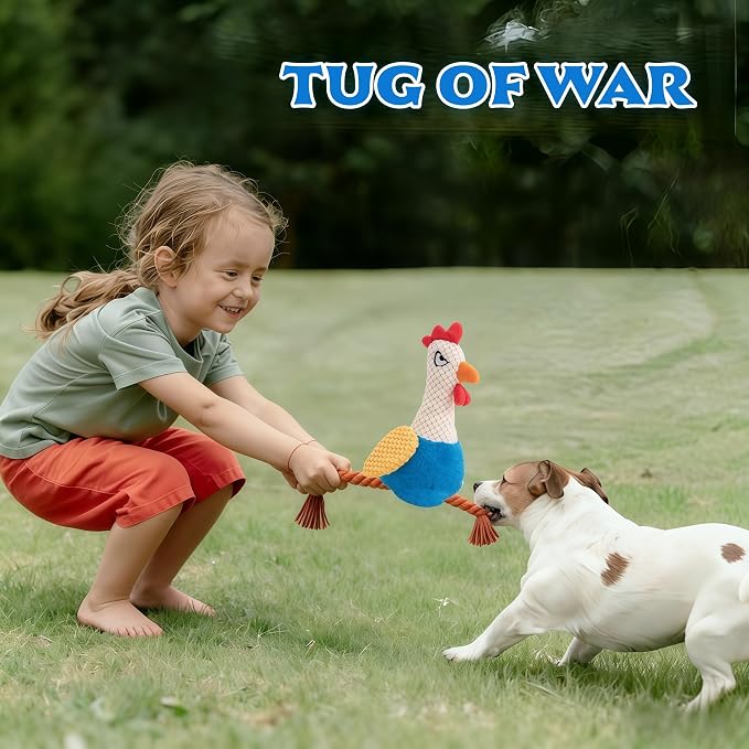Plush Chicken Dog Toy with Squeaker, Interactive Rope Legs, Colorful Textured Rooster Chew Toy for Small, Medium Dogs, Tug-of-War, Fetch