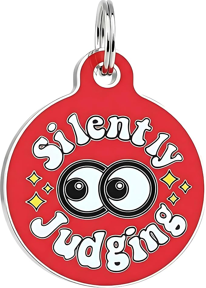 Bad Tags Personalized Dog and Cat ID Tags in 25+ Designs and 2 Sizes - 5 Lines of Custom Engraved Text - Funny Cute Personalized Pet Tags (Silently Judging - Red, Large (1.25 inch))