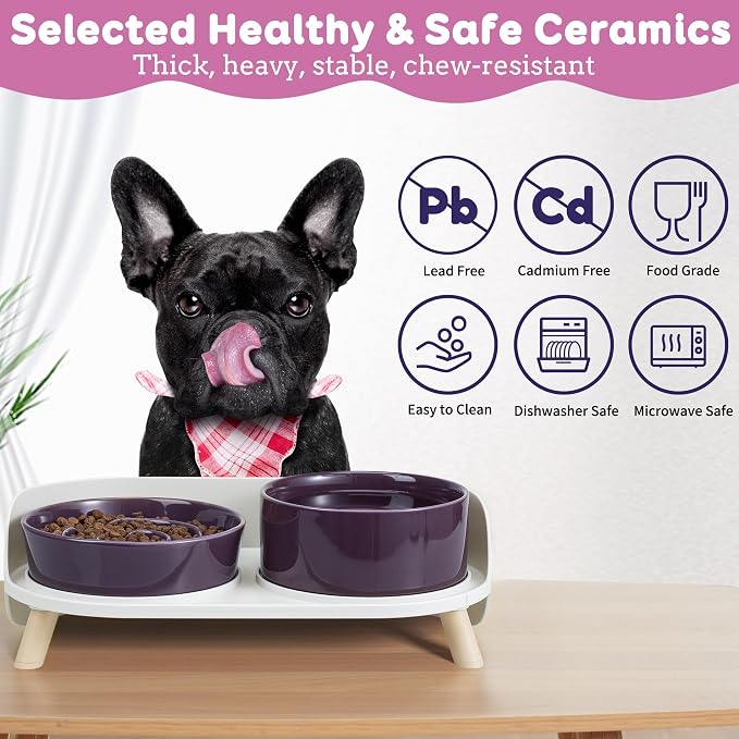 Elevated Slow Feeder Dog Bowls - Ceramic Food and Water Bowl Set with Stand - Raised Pet Dishes for Small and Medium Sized Dogs