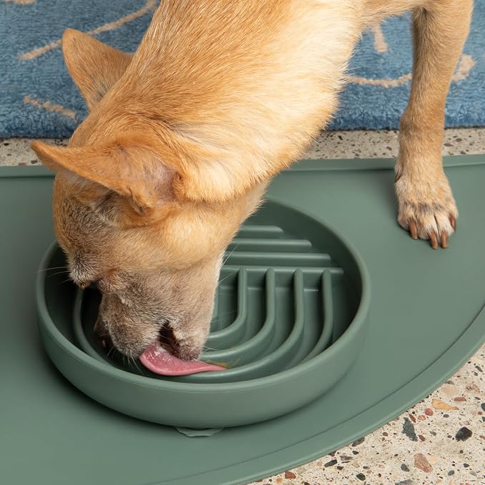 Should We Go? Slow Feeder Dog Bowls - Small Size Silicone Slow Eating Dog Bowl for Puppies & Dogs with Suction Cup -Dishwasher-Safe, Lick Mat Design, Reduces Gulping, for All Breeds, 6”x1.25”- Spruce