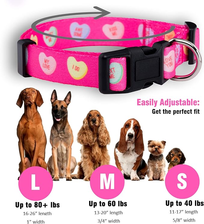 Native Pup Valentine’s Dog Collar- Valentines Day Pet Collars- Valentine Girly Hearts- Pink Red Heart- Cute Boy Girl Puppy Gift- Adjustable for Small, Medium, Large Breeds (Candy Hearts, Medium)