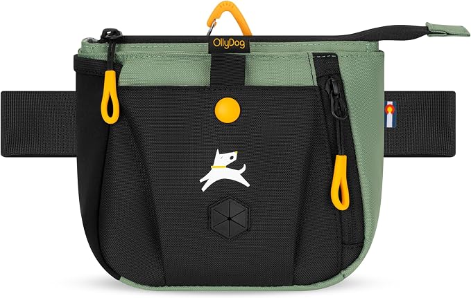 Backcountry Day Bag | Dog Training Treat Pouch | Eco-Friendly Recycled Fabric Fanny Pack with Zipper Closure, Built-in Poop Bag Dispenser & Adjustable Waist Belt (Olivine)