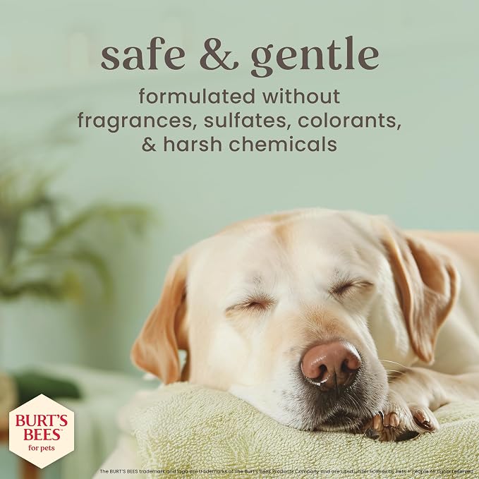 Burts Bees for Pets Manuka Honey 2-in-1 Shampoo and Conditioner, 16 Fl Oz | Jojoba oil formula, 2-in-1 shampoo and conditioner, 95% natural origin, sulfate-free