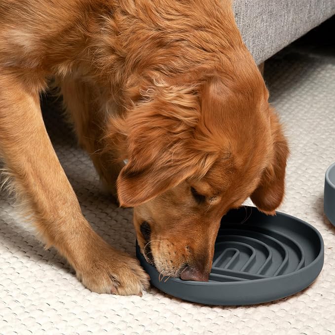 Should We Go? Slow Feeder Dog Bowls - Large Size Silicone Slow Eating Dog Bowl for Puppies & Dogs with Suction Cup -Dishwasher-Safe, Lick Mat Design, Reduces Gulping,for All Breeds,9.5”x1.5”-Charcoal